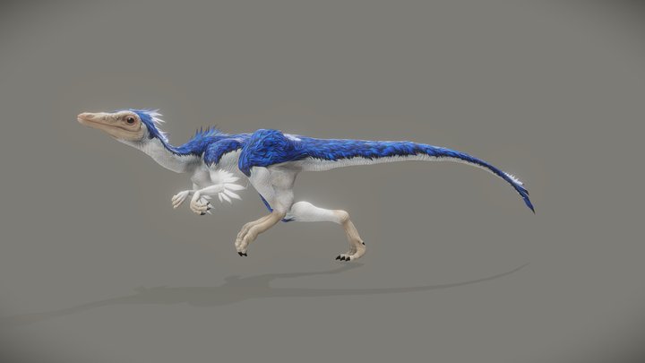 Compsognathus Longipes 3D Model