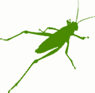 Logo of Grasshopper